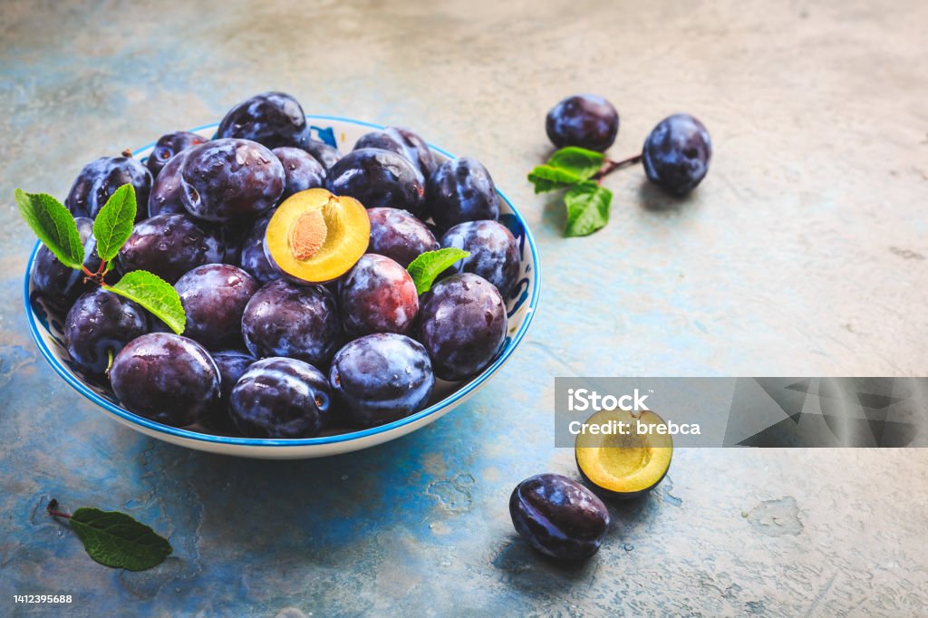 Freshly picked prune plums (Zwetschgen) fruits in a basket Freshly picked prune plums (Zwetschgen) fruits in a basket